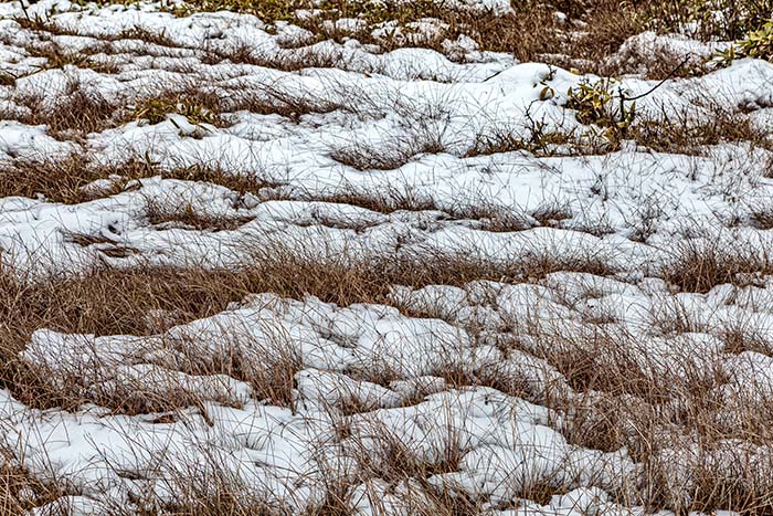 大阿原湿原 11月の雪