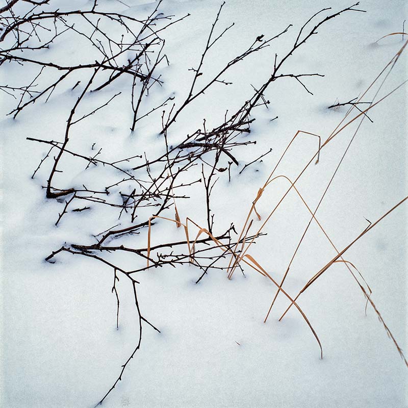 雪と小枝